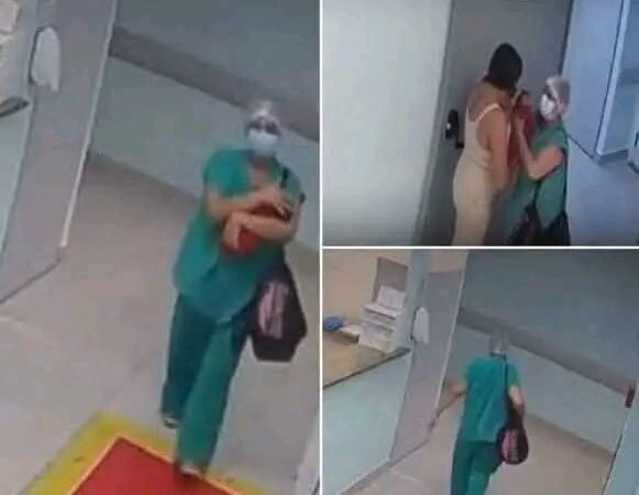 Fue captada cuando intentaba llevarse en un bolso a un… Ver mas